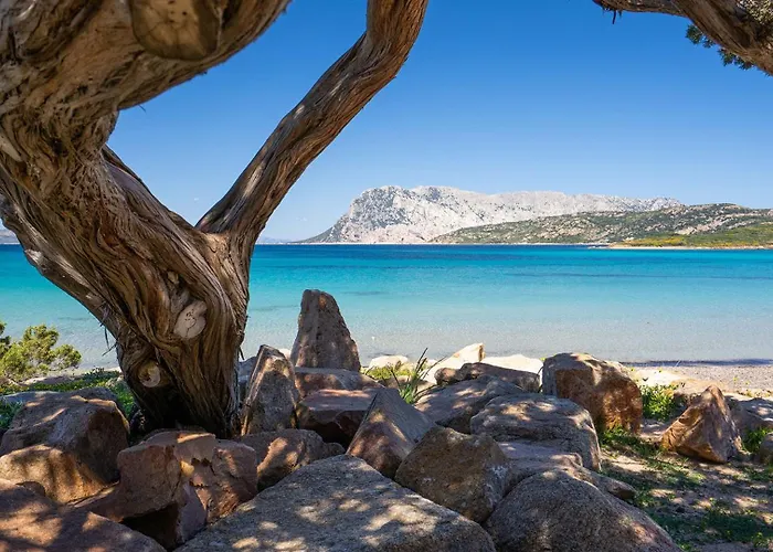 别墅 Mari 布多尼